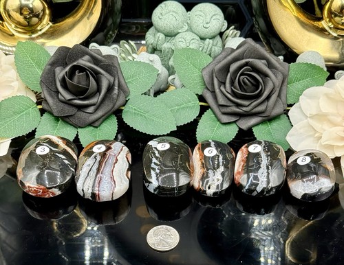 Natural black zebra - zebra, agate