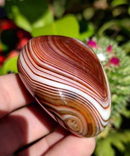 179g madagascar agate - madagascar,