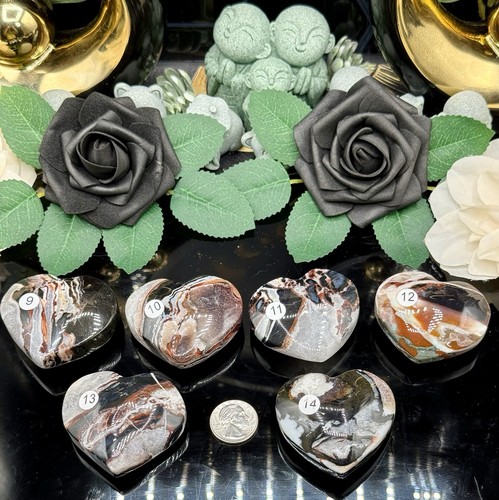 Natural black zebra agate - zebra,